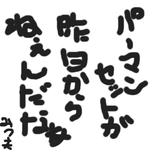�p�[�}���Z�b�g���������˂��񂾂Ȃ��@�݂v