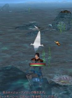 �C���J�̃W�����v
