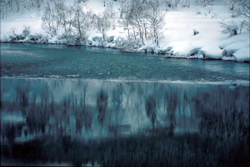 img003.jpg