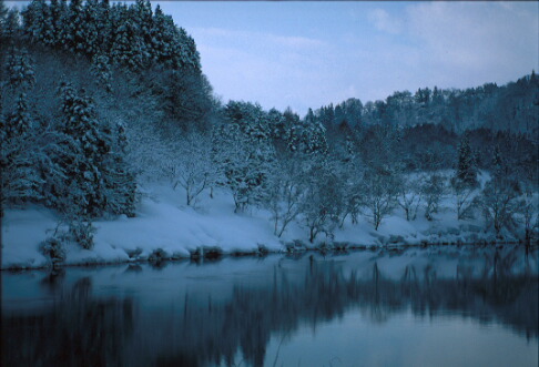 img004.jpg
