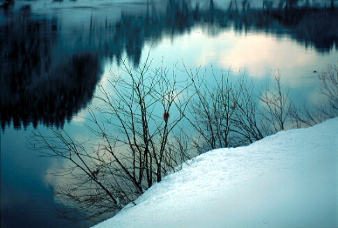 img005.jpg