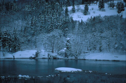 img007.jpg