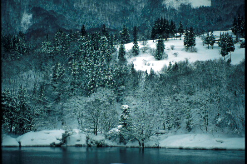 img008.jpg