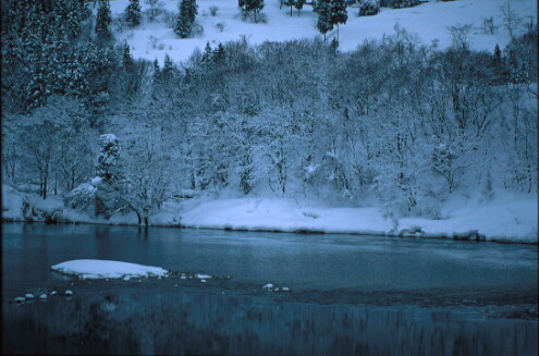 img009.jpg