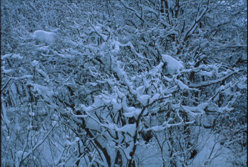 img010.jpg