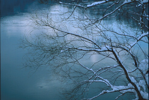 img011.jpg