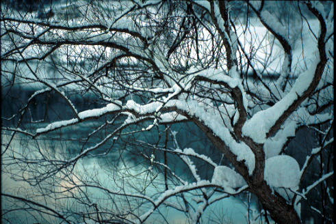img012.jpg