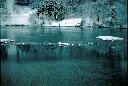 img002.jpg
