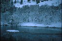 img009.jpg