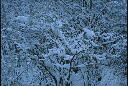 img010.jpg