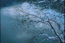 img011.jpg