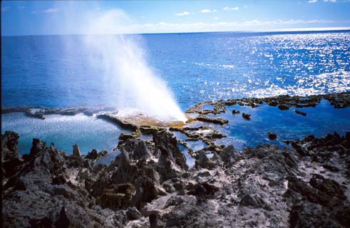 img001.JPG