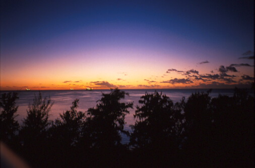 img004.jpg