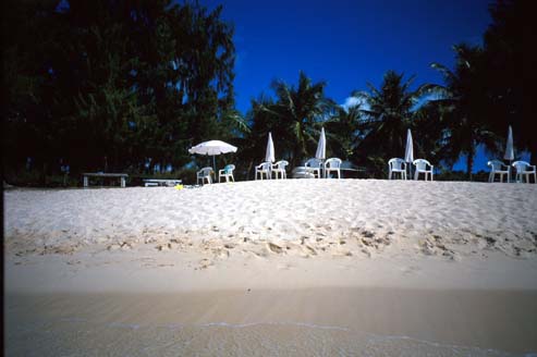 img007.jpg