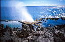 img001.JPG