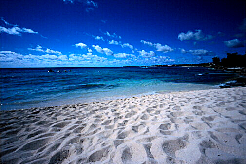 img001.jpg