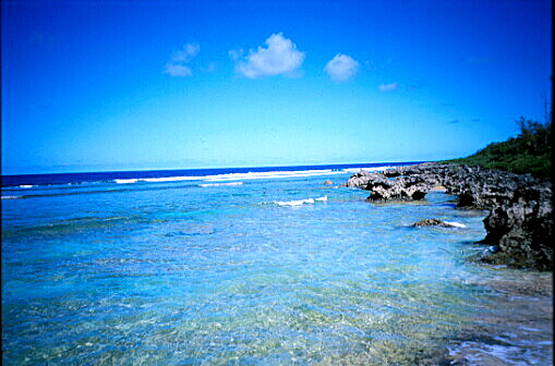 img003.jpg