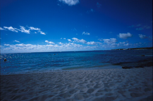 img005.jpg