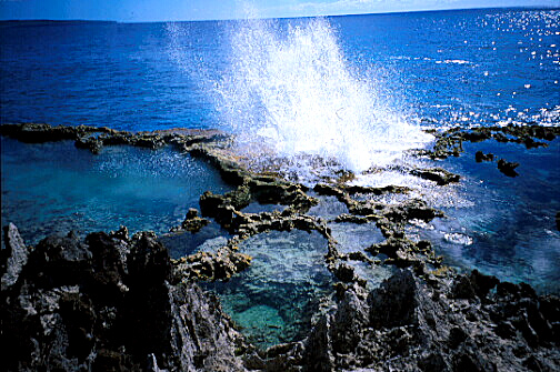 img006.jpg