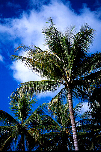 img007.jpg