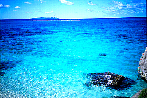 img008.jpg