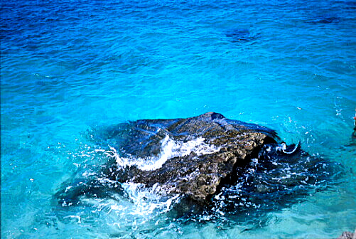 img009.jpg