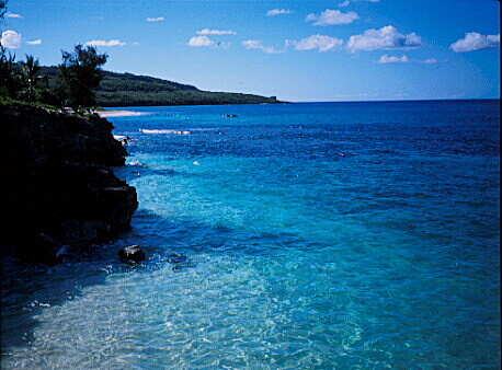 img010.jpg