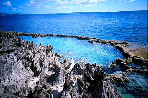 img011.jpg