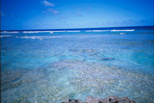 img012.jpg