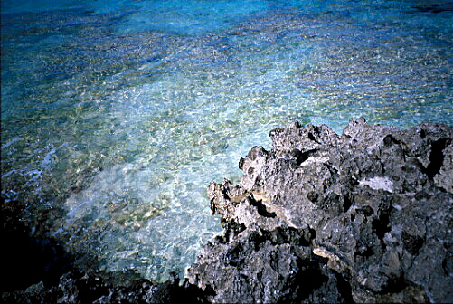 img013.jpg