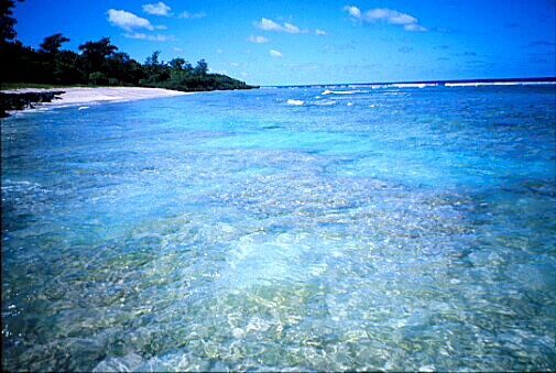 img015.jpg