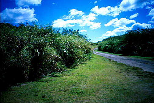 img016.jpg