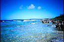 img003.jpg