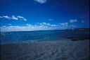 img005.jpg