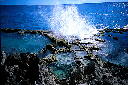 img006.jpg