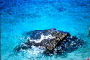 img009.jpg