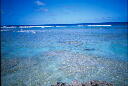 img012.jpg
