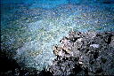 img013.jpg