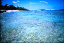 img015.jpg