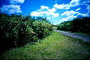 img016.jpg