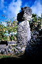 img017.jpg