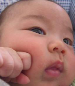 3mo-6.jpg