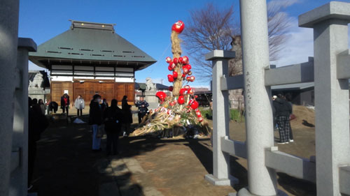 ��m�̔��A���̔��A����A����ʔ́@��m�⎞�X�̎�̎ʐ^